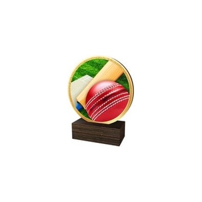 Poháry Bauer Dřevěná plaketa TFRW578 Cricket