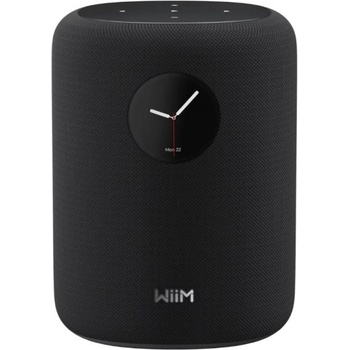 Image 1 of WiiM Sound