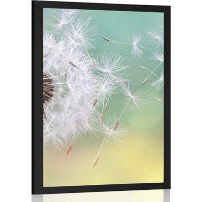 Plakát kouzelná pampeliška - 40x60 black