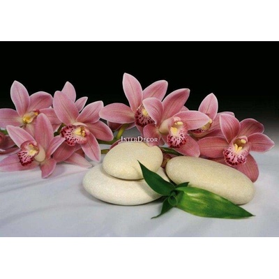 Kameny s orchideji 1 deska 100x50