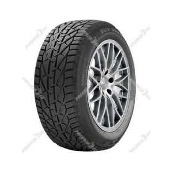 Riken Snow 215/60 R17 96H