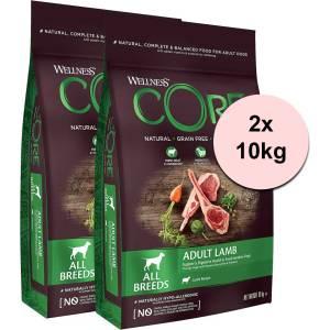 Wellness Core Възрастен Агне 2 x 10 кг