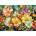 Enjoy - Puzzle Fancy Flower Garden - 1 000 piese