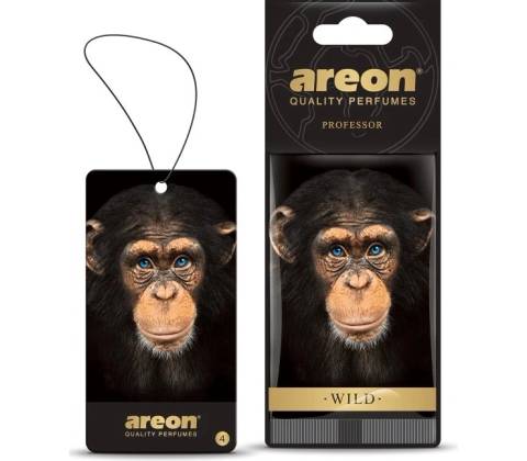 Areon Wild Professor