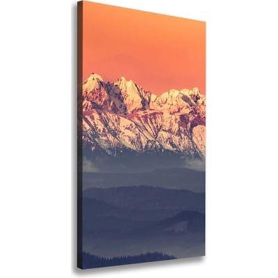 Vertikálny foto obraz na plátne Panorama Tatry 50x100 cm