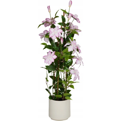 KLEMATIS UMĚLÝ STROM 98 CM RŮŽOVÝ KVĚT