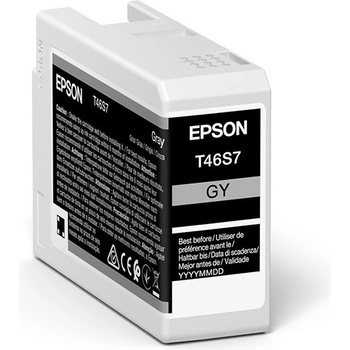 Epson original ink C13T46S700, gray (C13T46S700)