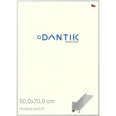 DANTIK rám na obraz 50 x 70 Stříbrná lesklá