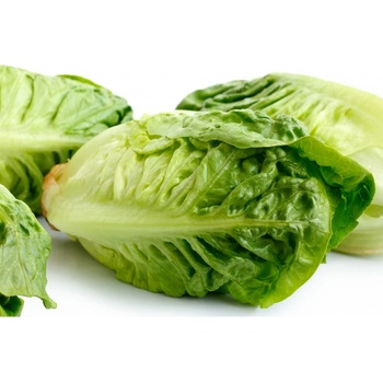 Šalát Little Gem - Lactuca sativa - predaj semien - 400 ks