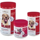 Vitamíny a doplnky stravy pre psov Orling Gelacan Darling BIOSOL 500 ml