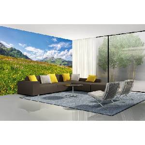 DIMEX ART Самозалепваща се флизелинова фототапета пролетна цъфтяща поляна 375 x 250 см