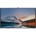 Huawei IdeaHub B2 86 IHB2-86PU 55150705