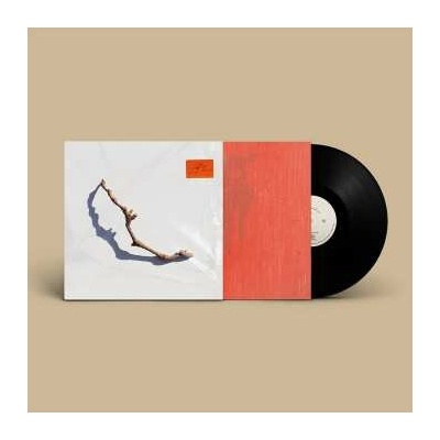 HARVEY, P.J. - I INSIDE THE OLD YEAR DYING LP