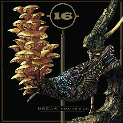 Dream Squasher - 16 LP