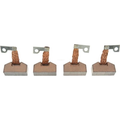 Sada uhlíků startéru - Bosch 2007014079 RC BSX172-173 4