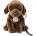Rappa Плюшена играчка Rappa Еко приятели - Кафяв лабрадор с каишка, 25 cm (230149)