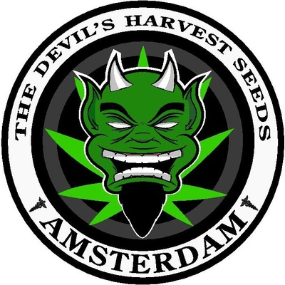 Devil's Harvest Seeds OG Reek'n semena neobsahují THC 10 ks