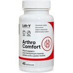 Lab-v Arthro Comfort - Комплексна подкрепа за здравето на ставите и опорно-двигателния апарат при кучета и котки 45 капсули