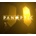 Panoptic