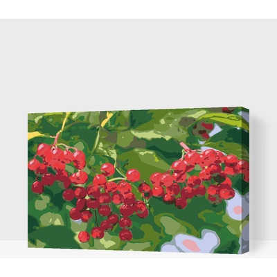 Vymalujsisam Malování podle čísel Bobule na stromě