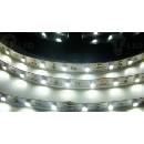 T-LED 079243