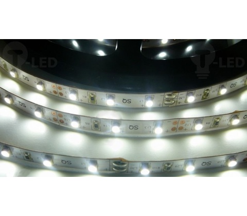 T-LED 079243