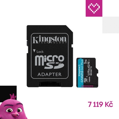Kingston Canvas Go Plus A2 Micro SDXC 1TB SDCG4/1TB