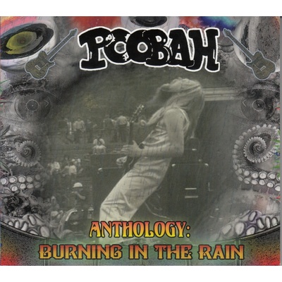 Poobah Burning in the rain An Anthology 1 CD