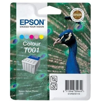 Epson T001