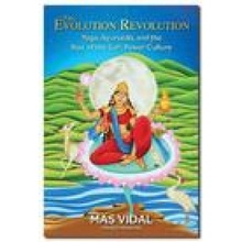 Evolution Revolution - Yoga, Ayurveda and the Rise of the Soft Power Culture Vidal MasPaperback