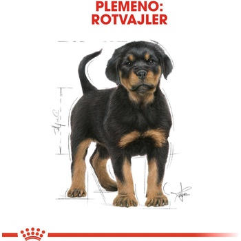 Royal Rottweiler Puppy 12 kg