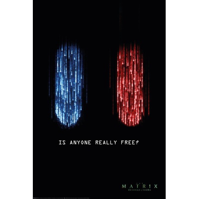 Plagát, Obraz - The Matrix: Resurrections - The Choice is Yours, 61 × 91.5 cm