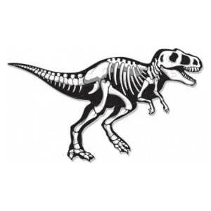 Learning Resources Large foam flooring puzzles, Dinosaur T-Rex