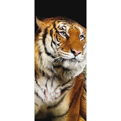 Preinterier DV0039 Fototapeta na stenu Tiger vlies 91cm x 211cm
