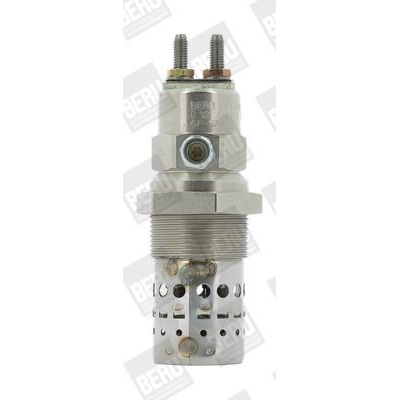 Żeraviaca sviečka BorgWarner (BERU) GF529