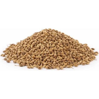 QuickTea Anýz plod celý 500 g