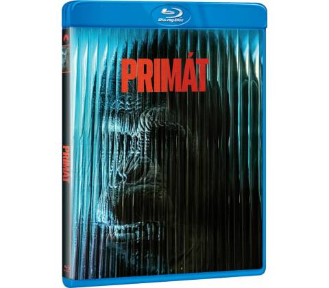 Primát BD