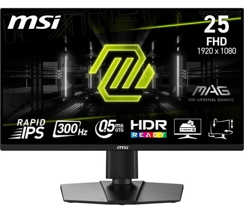 MSI MAG 255PXF