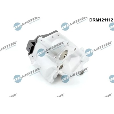 Dr.Motor Automotive AGR ventil DMA DRM121112