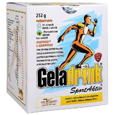 Geladrink SportAktiv 252 g