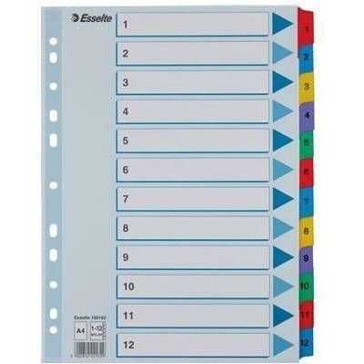 Zesílené rejstříky "Mylar", mix barev, karton, A4, 1-12, ESSELTE