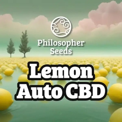 Philosopher Seeds Lemon Auto CBD semienka neobsahujú THC 25 ks