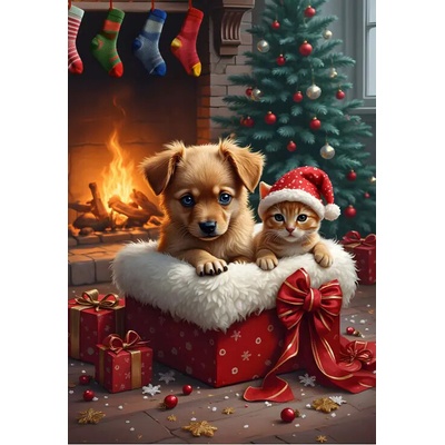 Alipson Dokonalý darček 1000 dielov