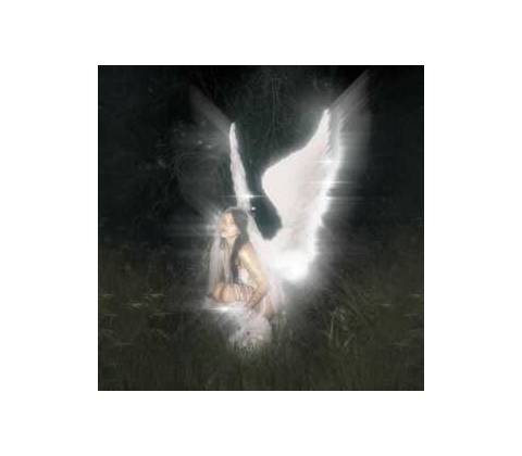 BARRETT, NESSA - YOUNG FOREVER CD