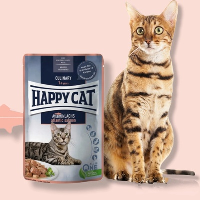 Happy Cat Culinary Atlantik Lachs losos 85 g
