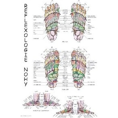 MedHelp Plagát REFLEXOLÓGIA NOHY 63 x 47cm