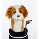 Daphnes headcover Cavapoo