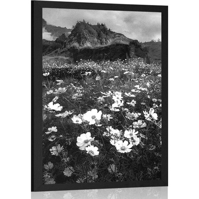 Plakát louka kvetoucích květin v černobílém provedení - 40x60 black