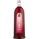 Divine Kirsch 16,6% 0,5 l (holá láhev)
