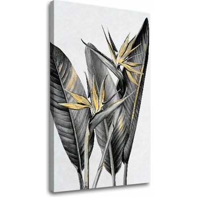 Obraz na plátne RASTLINY 003 - 50x70 cm